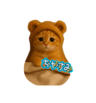 くまの帽子ねこ（個別スタンプ：3）