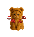 くまの帽子ねこ（個別スタンプ：8）
