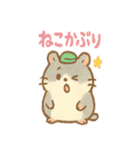 ころころハムスター達の毎日スタンプ（個別スタンプ：24）