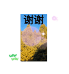 台湾語 幸せの日常挨拶メール一言（個別スタンプ：4）