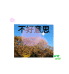 台湾語 幸せの日常挨拶メール一言（個別スタンプ：6）