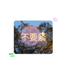 台湾語 幸せの日常挨拶メール一言（個別スタンプ：11）
