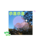 台湾語 幸せの日常挨拶メール一言（個別スタンプ：13）
