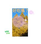 台湾語 幸せの日常挨拶メール一言（個別スタンプ：22）
