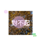 台湾語 幸せの日常挨拶メール一言（個別スタンプ：25）