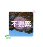 台湾語 幸せの日常挨拶メール一言（個別スタンプ：33）