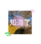 台湾語 幸せの日常挨拶メール一言（個別スタンプ：35）