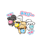 動くペキニーズ！！7夏だ！（個別スタンプ：1）