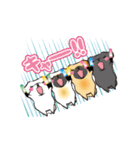 動くペキニーズ！！7夏だ！（個別スタンプ：2）