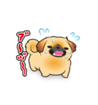 動くペキニーズ！！7夏だ！（個別スタンプ：6）