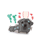 動くペキニーズ！！7夏だ！（個別スタンプ：8）