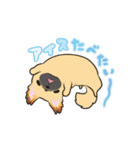 動くペキニーズ！！7夏だ！（個別スタンプ：9）