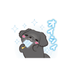 動くペキニーズ！！7夏だ！（個別スタンプ：10）