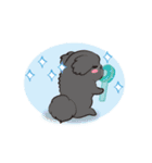 動くペキニーズ！！7夏だ！（個別スタンプ：13）