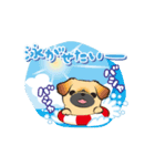 動くペキニーズ！！7夏だ！（個別スタンプ：15）