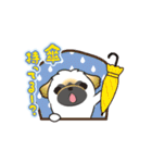 動くペキニーズ！！7夏だ！（個別スタンプ：16）