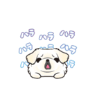 動くペキニーズ！！7夏だ！（個別スタンプ：21）