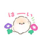 ぽぽちの夏スタンプ（個別スタンプ：13）