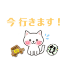 日常挨拶使いやすい白猫さんスタンプ（個別スタンプ：17）