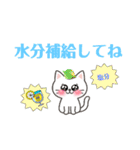 日常挨拶使いやすい白猫さんスタンプ（個別スタンプ：21）