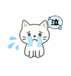 日常挨拶使いやすい白猫さんスタンプ（個別スタンプ：31）