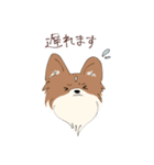 ときどき関西弁の動物たち（個別スタンプ：20）