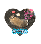 コンパクトうさぎ⭐︎もこ（個別スタンプ：2）
