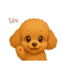 ワンだふる｜トイプードル【タイ語】（個別スタンプ：1）