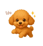 ワンだふる｜トイプードル【タイ語】（個別スタンプ：2）