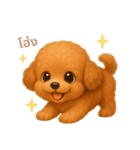 ワンだふる｜トイプードル【タイ語】（個別スタンプ：6）