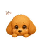 ワンだふる｜トイプードル【タイ語】（個別スタンプ：7）