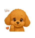 ワンだふる｜トイプードル【タイ語】（個別スタンプ：8）