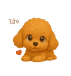 ワンだふる｜トイプードル【タイ語】（個別スタンプ：10）