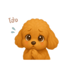 ワンだふる｜トイプードル【タイ語】（個別スタンプ：12）