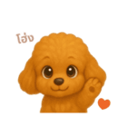 ワンだふる｜トイプードル【タイ語】（個別スタンプ：16）