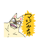 ふとまるネコ生活②（個別スタンプ：7）