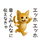 エッホエッホねこ（個別スタンプ：6）