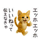 エッホエッホねこ（個別スタンプ：12）