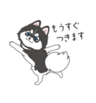 ポンスキーのポン（個別スタンプ：17）