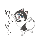 ポンスキーのポン（個別スタンプ：24）