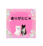 Memeちゃんスタンプ 2025夏（個別スタンプ：2）