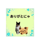 Memeちゃんスタンプ 2025夏（個別スタンプ：3）