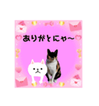 Memeちゃんスタンプ 2025夏（個別スタンプ：4）