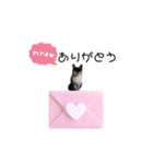 Memeちゃんスタンプ 2025夏（個別スタンプ：6）
