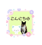 Memeちゃんスタンプ 2025夏（個別スタンプ：11）