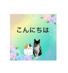Memeちゃんスタンプ 2025夏（個別スタンプ：12）