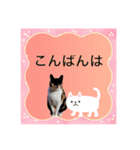 Memeちゃんスタンプ 2025夏（個別スタンプ：14）