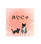 Memeちゃんスタンプ 2025夏（個別スタンプ：17）
