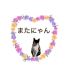 Memeちゃんスタンプ 2025夏（個別スタンプ：19）