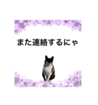 Memeちゃんスタンプ 2025夏（個別スタンプ：22）